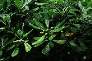 《Scorchlands》7月登陆PC平台 月面建设经营